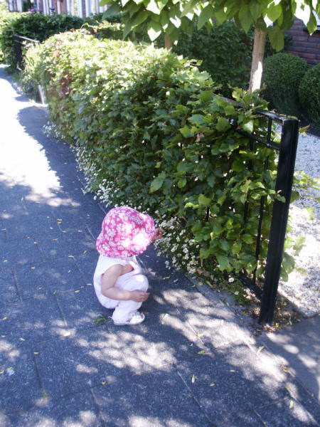 2006 06 12 picking flowers