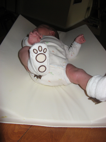 2007 06 21 Grrrr Feeties