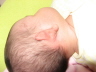 2007 06 23 Harper's alien ear