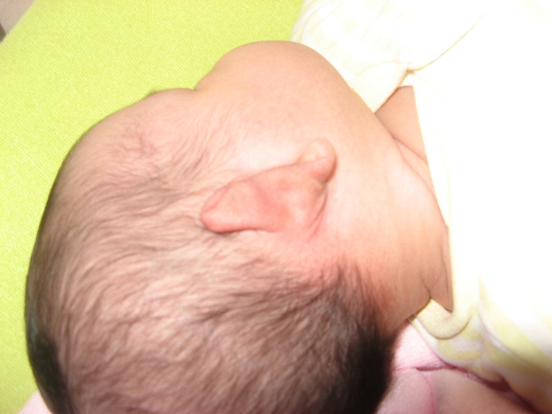 2007 06 23 Harper's alien ear
