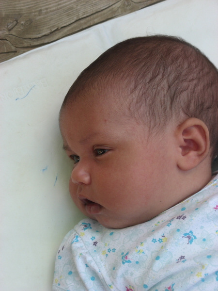 2007 07 06 Harper's million mile stare