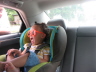 2007 07 13 Ruby in her Shades 1.  I think this is just about a perfect picture of Rubelu!