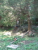 2007 07 22 Making a Path to the Outhouse