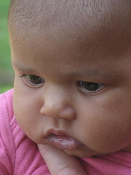 2007 07 31 Harper Close Up