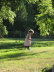 2007 08 04 Ruby in Light 2