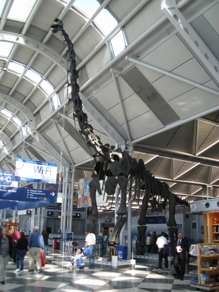2007 10 20 - NOLA - Dino in Chicago