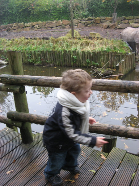 2007 10 29 Oscar at the Zoo