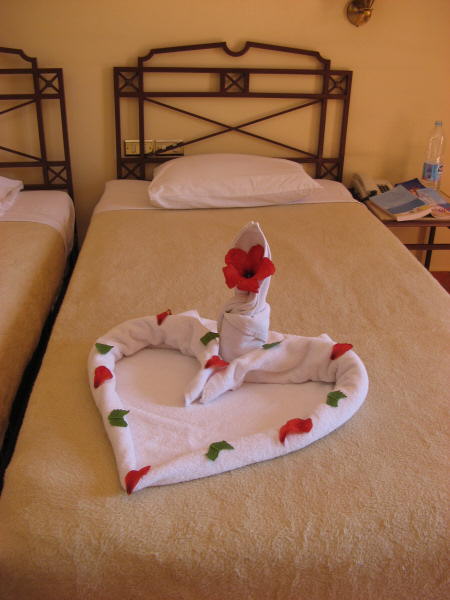 2008 01 05 Everyday, the guys that cleaned our room made some towel origami.
