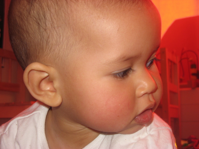 2008 02 16 Cheeky Harper