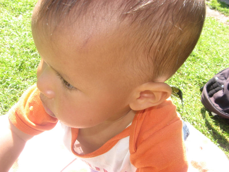 2008 05 05 Sunny Harper