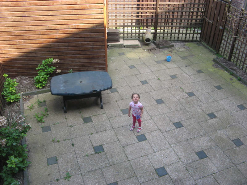 View from our bedroom into the back yard.