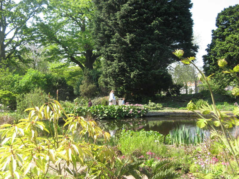 2008 05 07 Hortus Neoma, Ajax and Ruby Explore the Pond
