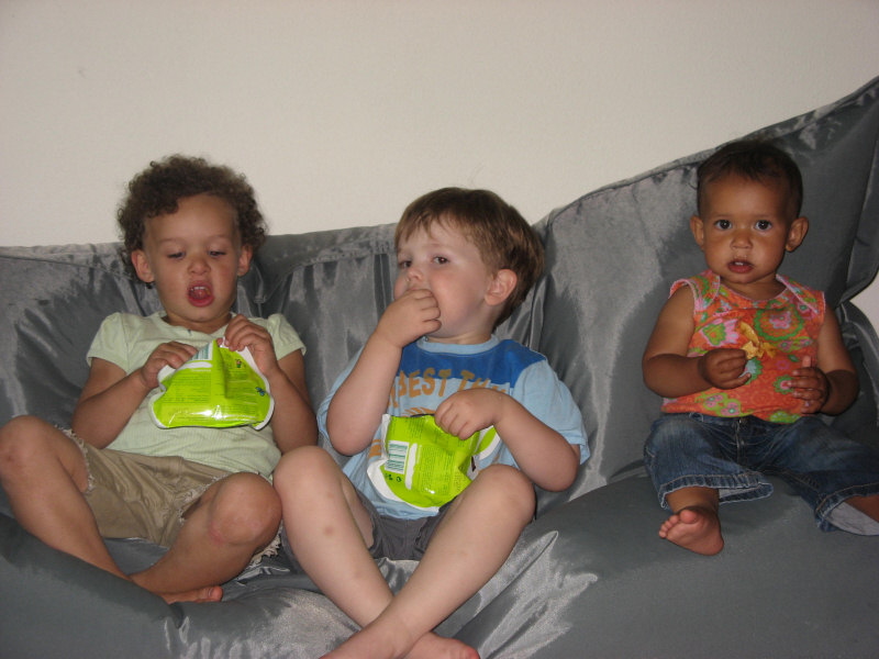 2008 06 09 Ajax, Ruby and Harper Enjoying the Apple Chips