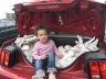 2008 06 22 Ruby Rides the Garbage Mobile