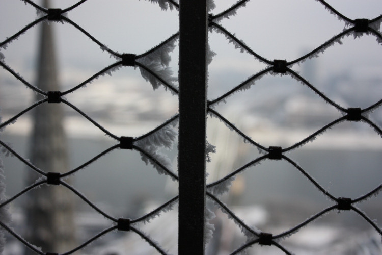 2009 01 08 Icy Fence