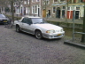 Fox Body in Leiden