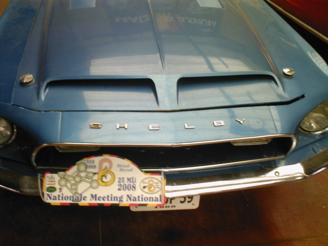 Shelby